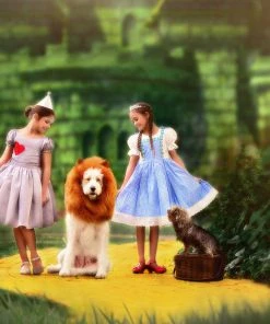 TRISH SCULLY HOME Accessories DOG LION MANE