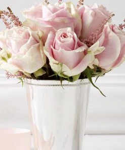 TRISH SCULLY SILVER PLATED JULEP CUP STANDARD Mother's Day Gift Guide