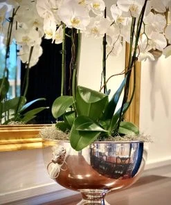 TRISH SCULLY SILVER PLATED EDINBURGH BOWL HOME