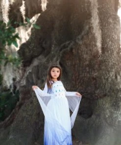 TRISH SCULLY HOME PRINCESS SIGRID GOWN Dress Up