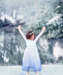 TRISH SCULLY HOME PRINCESS SIGRID GOWN Dress Up