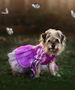 TRISH SCULLY HOME DUCHESS FIFI DOG COSTUME Dog Dress-Up