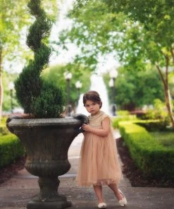 TRISH SCULLY ALLESSANDRA DRESS BUTTERSCOTCH