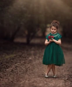 TRISH SCULLY GIOVANNA DRESS EMERALD