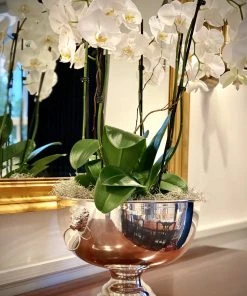 TRISH SCULLY SILVER PLATED EDINBURGH BOWL HOME