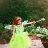 TRISH SCULLY Dress Up ENCHANTED FAIRY DRESS & WING SET