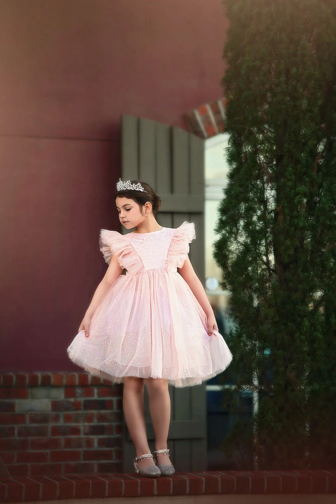 TRISH SCULLY MILLY DRESS SPARKLE PINK GIRLS 3 TRISH SCULLY MILLY DRESS SPARKLE PINK GIRLS