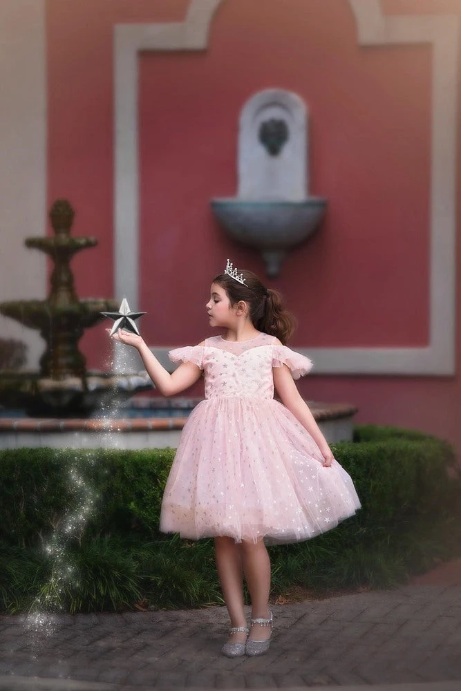 TRISH SCULLY ETOILE DRESS PINK 3 TRISH SCULLY ETOILE DRESS PINK