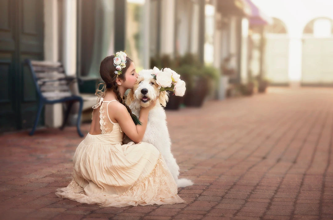 TRISH SCULLY ALEXANDRA MAXI DRESS 6 TRISH SCULLY ALEXANDRA MAXI DRESS