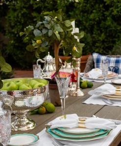 TRISH SCULLY HOME MILANO WHITE JACQUARD PLACEMATS SET OF 4