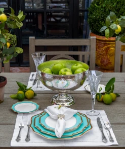 TRISH SCULLY HOME MILANO WHITE JACQUARD PLACEMATS SET OF 4