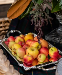 TRISH SCULLY SILVER PLATED CLARENCE TRAY HOME