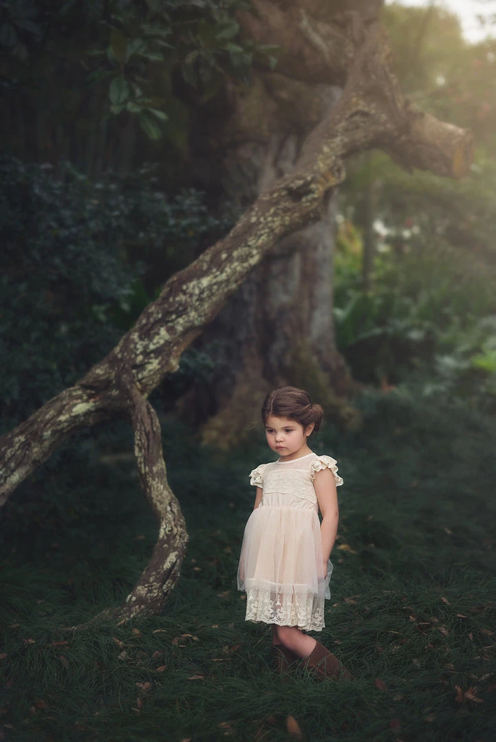 TRISH SCULLY OLIVIA DRESS BUTTERSCOTCH GIRLS 6 TRISH SCULLY OLIVIA DRESS BUTTERSCOTCH GIRLS