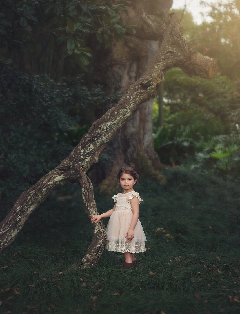 TRISH SCULLY OLIVIA DRESS BUTTERSCOTCH GIRLS 4 TRISH SCULLY OLIVIA DRESS BUTTERSCOTCH GIRLS